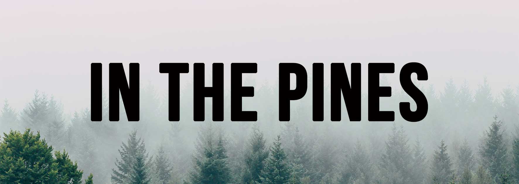 In The Pines